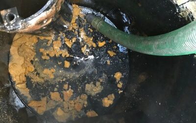 Professionele reiniging van septische putten